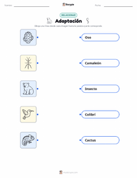 Vista previa de la hoja de trabajo imprimible de Adaptación