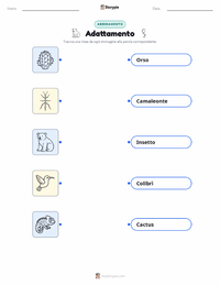 Anteprima della scheda stampabile di Adattamento