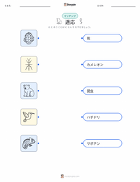 適応 の印刷可能ワークシートプレビュー