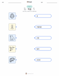 적응 인쇄 가능한 워크시트 미리보기