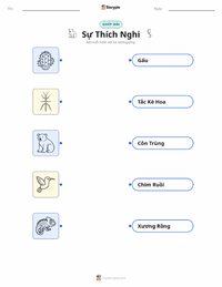 Tài liệu in sẵn Sự thích nghi cho trẻ em