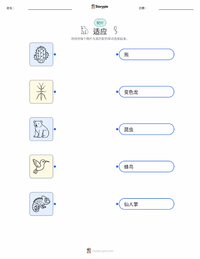 适应 可打印工作表，适合儿童