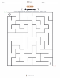 Anpassung druckbare Arbeitsblatt Vorschau