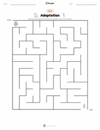 Adaptation printable worksheet preview