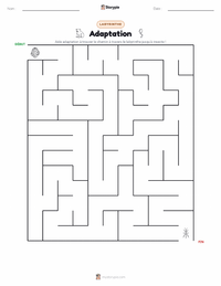 Aperçu de la feuille de travail imprimable Adaptation