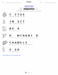 Adaptation printable worksheet preview