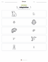 Adaptation printable worksheet preview