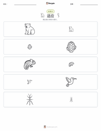 适应 可打印工作表预览