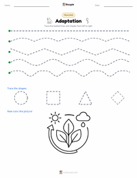 Adaptation printable worksheet preview