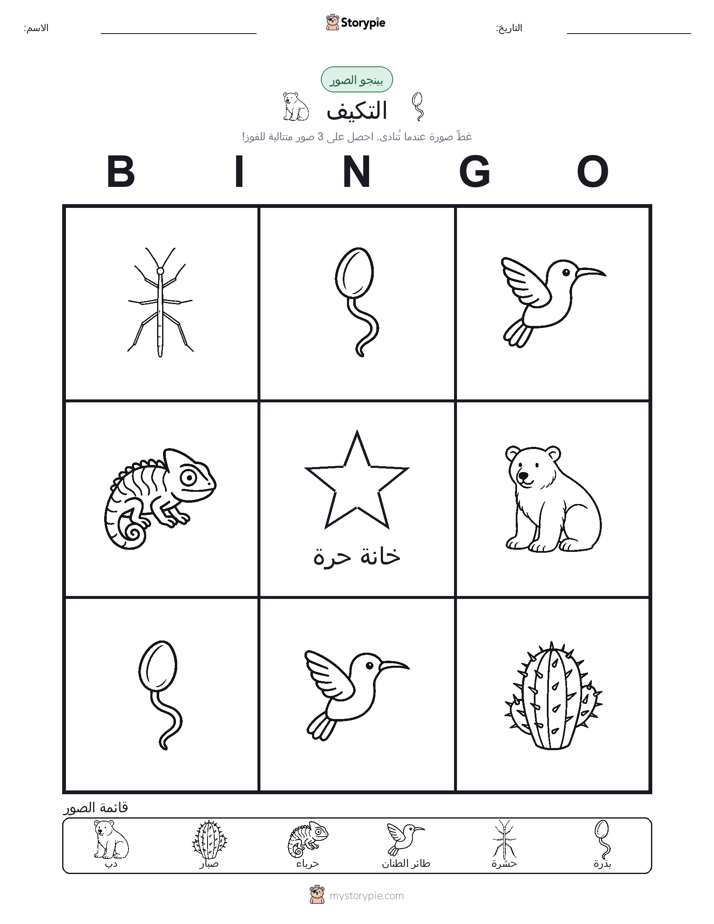 بينغو الصور