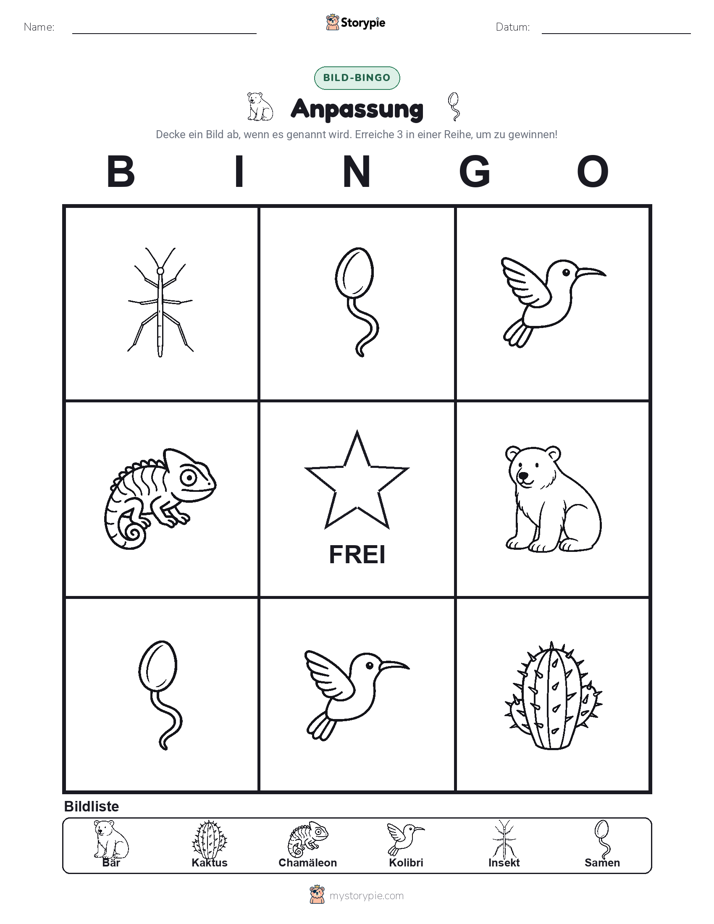 Bild-Bingo