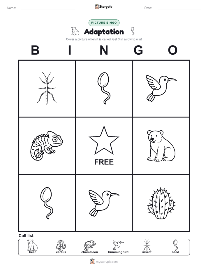 Picture Bingo