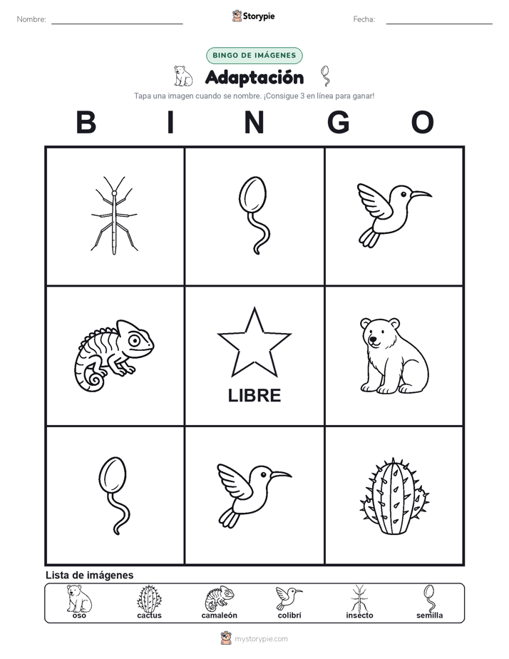 Bingo de Imágenes