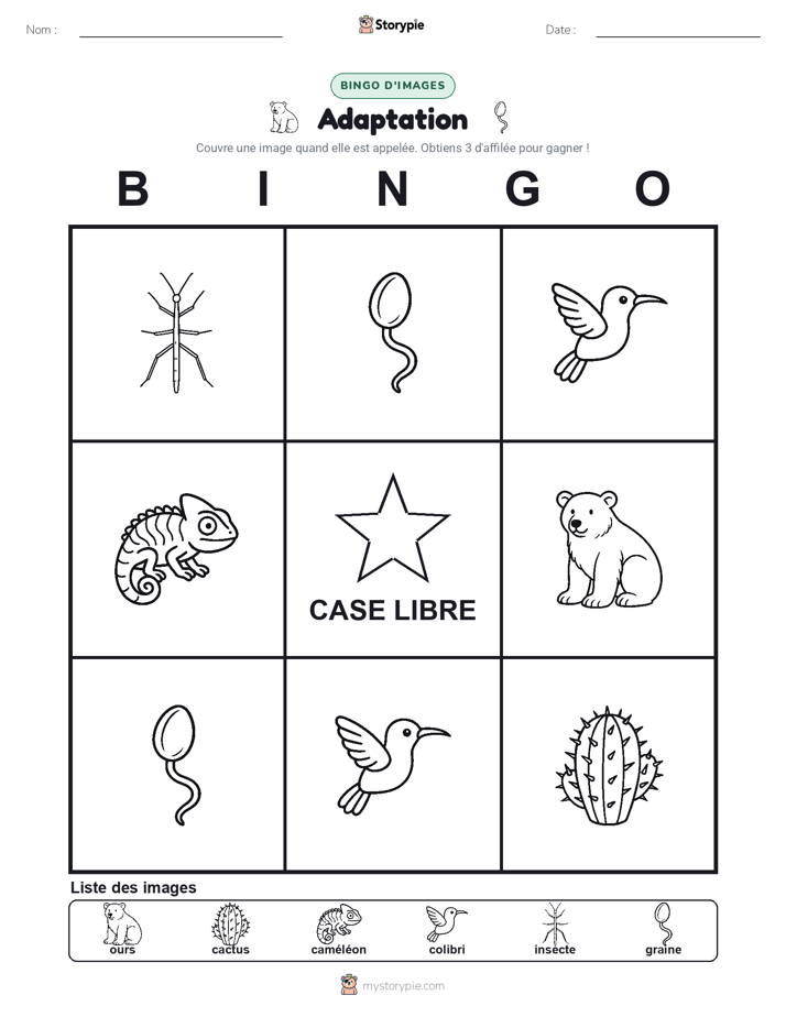 Bingo d'Images