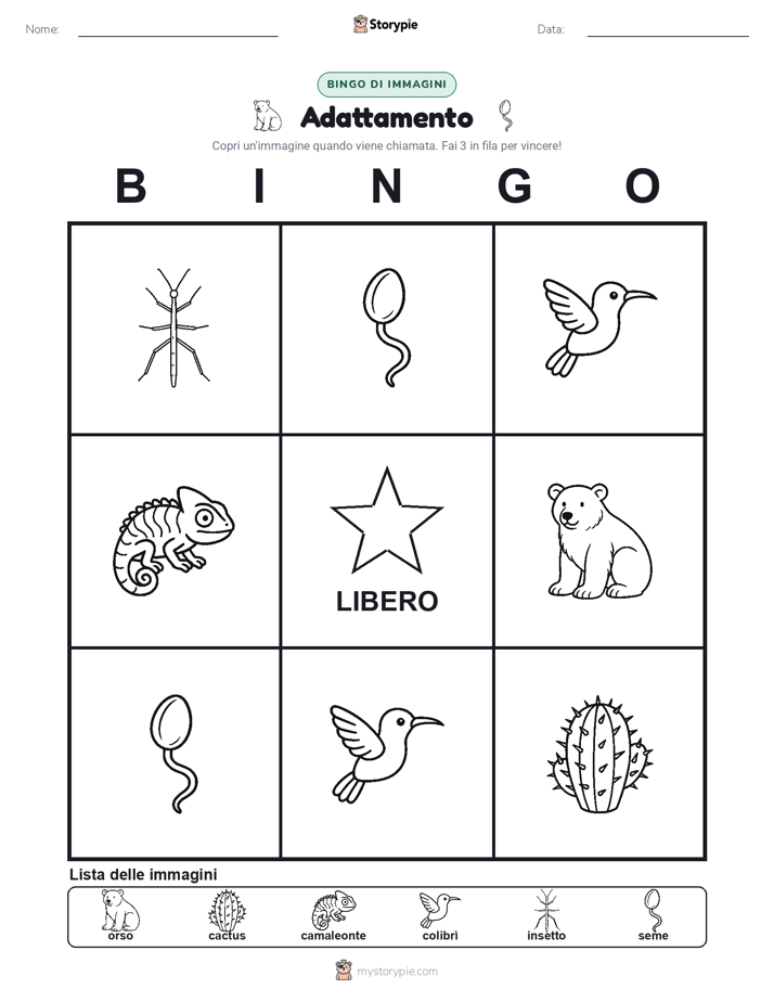 Bingo delle Immagini