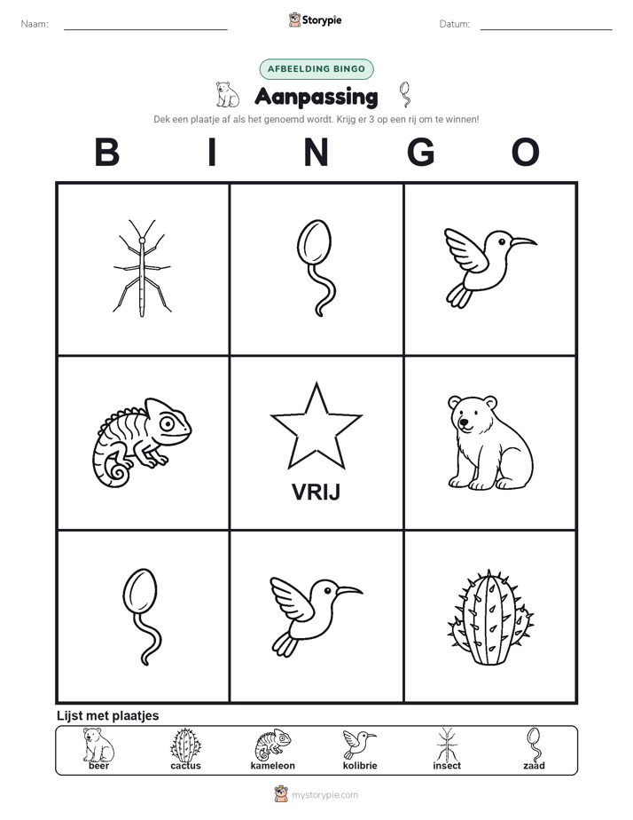 Afbeelding Bingo