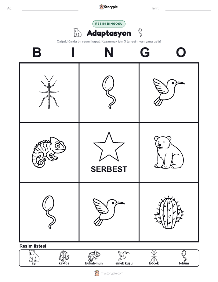 Resim Bingo
