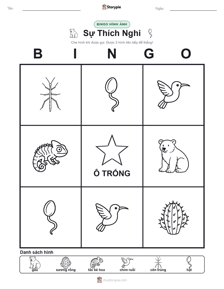 Bingo Hình Ảnh