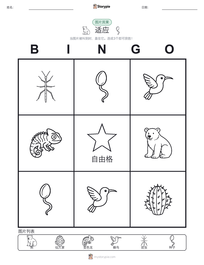 图片宾果