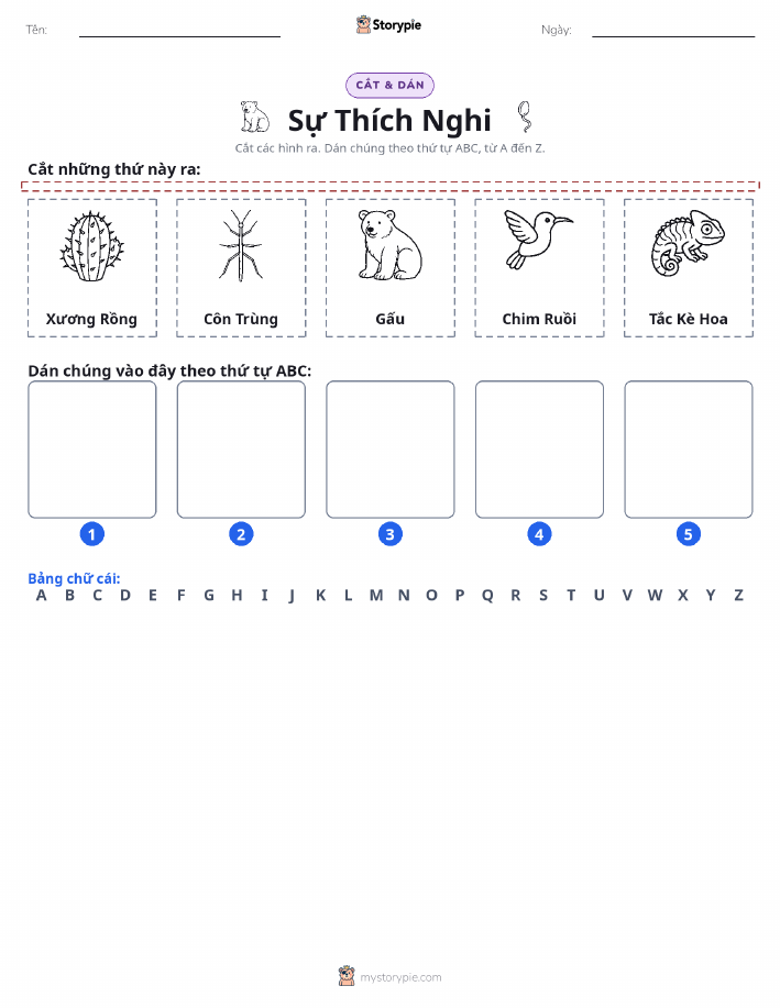 Cắt & Dán Chữ Cái