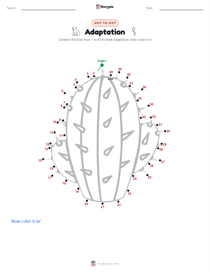 Dot to Dot