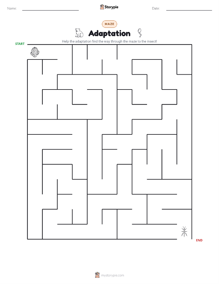 Maze