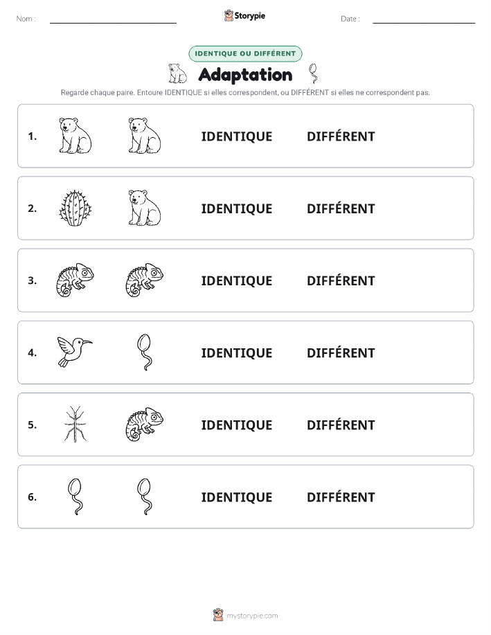 Identique ou Différent