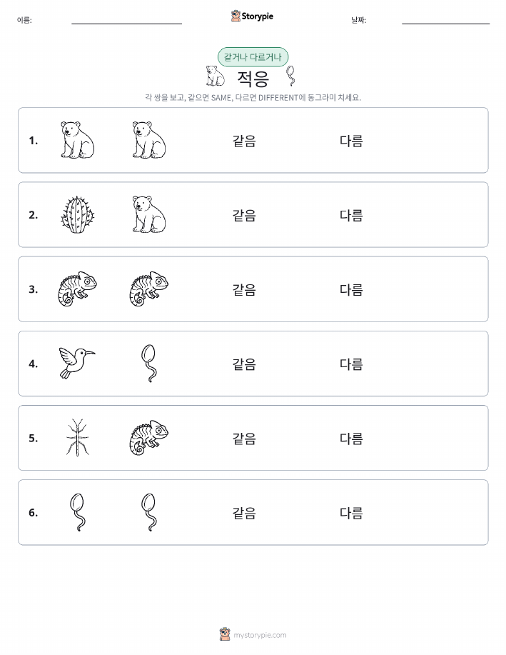 같은 것 또는 다른 것
