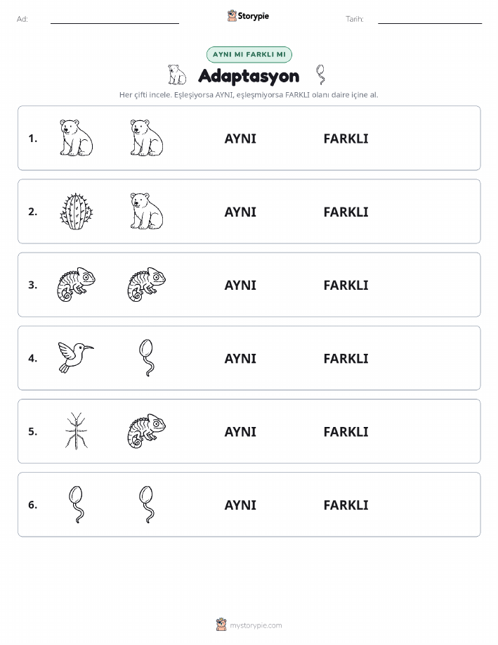 Aynı mı Farklı mı