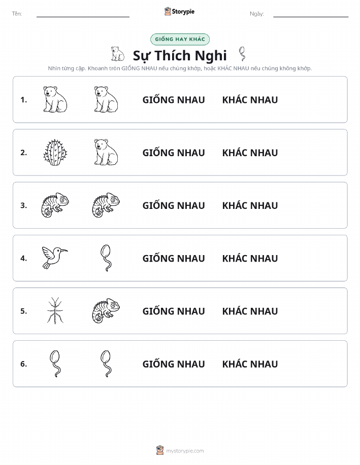 Giống Hay Khác