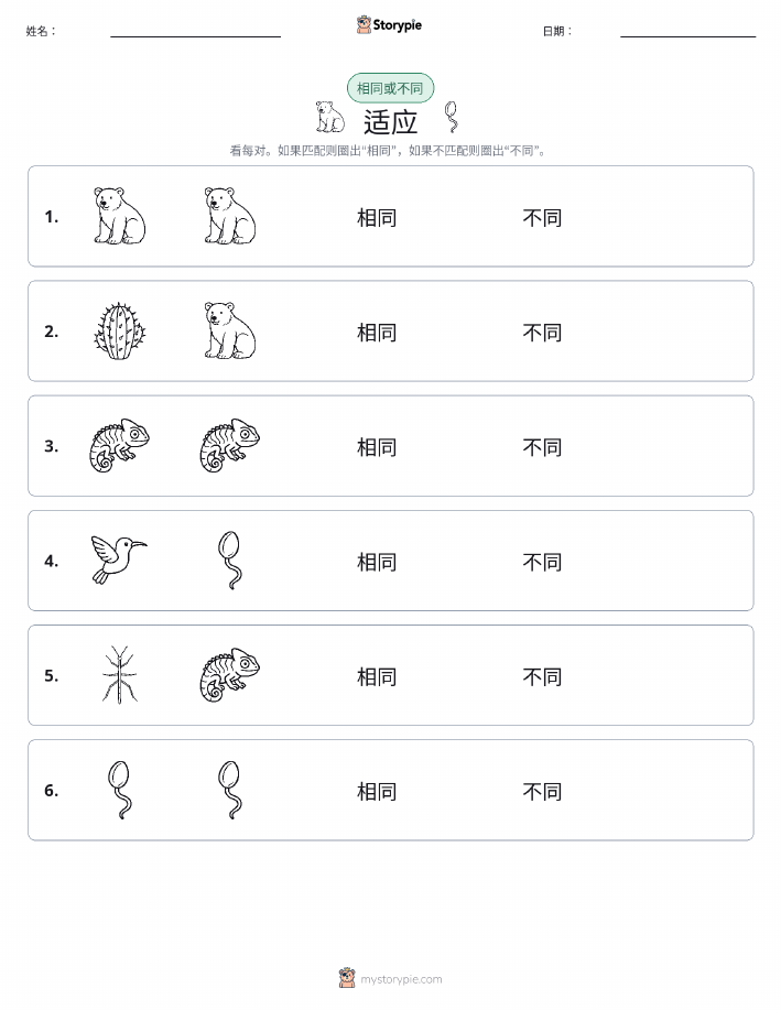 相同或不同