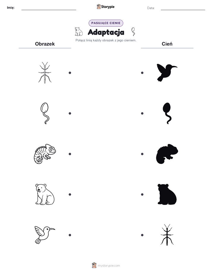 Dopasowanie cieni