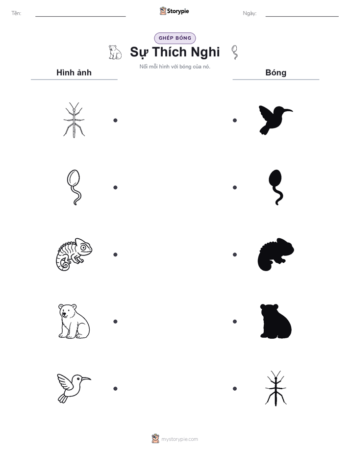 Ghép Hình Bóng