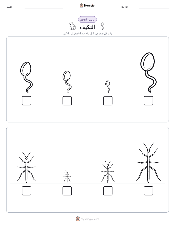 ترتيب الحجم