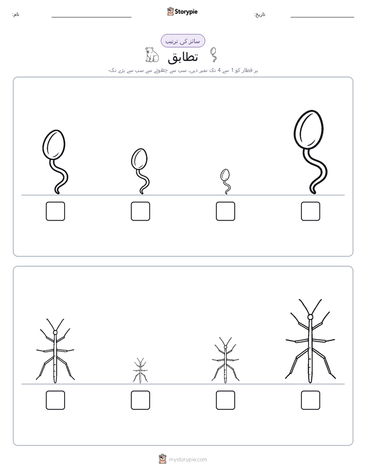 سائز کی ترتیب