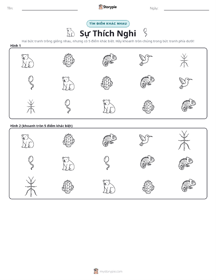Tìm Sự Khác Biệt