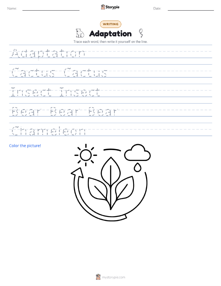 Writing Practice