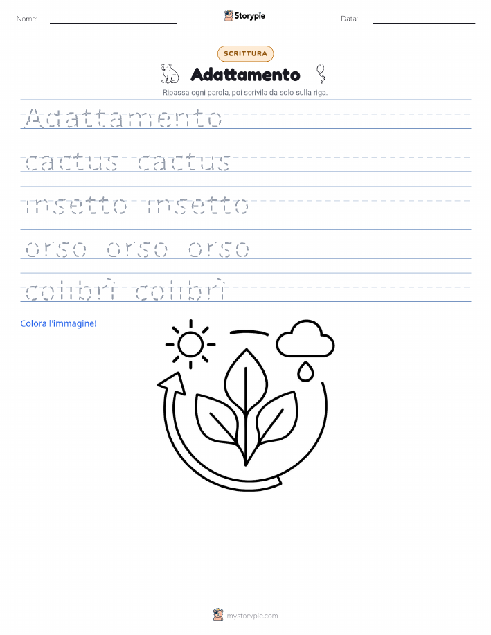 Pratica di Scrittura