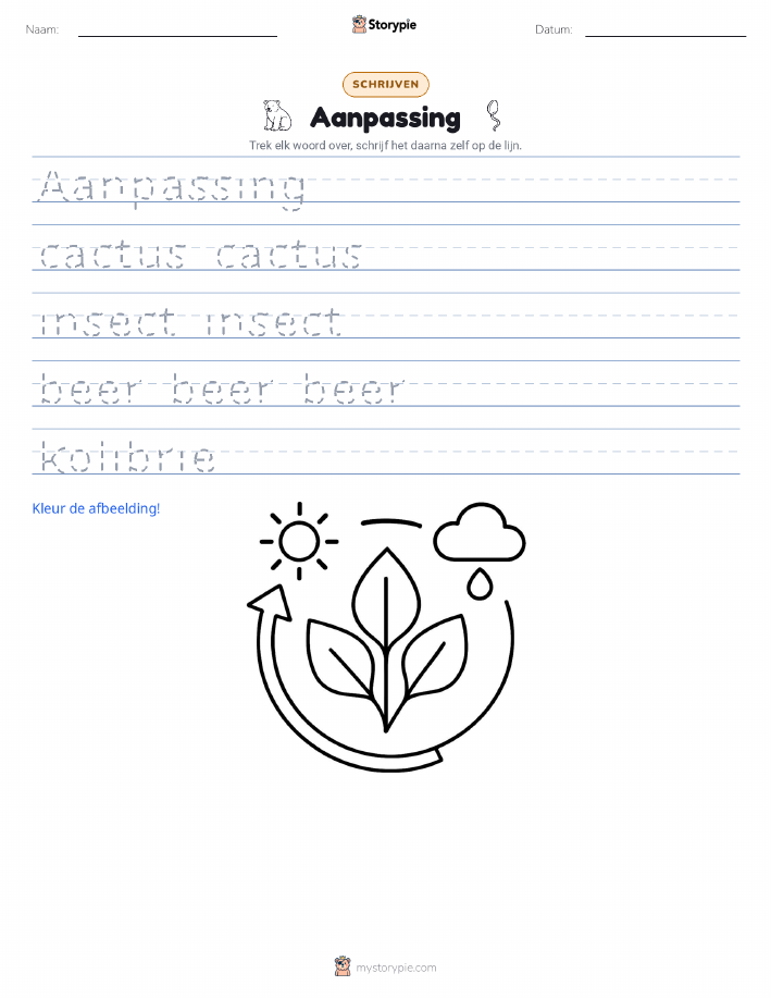 Schrijf Oefening