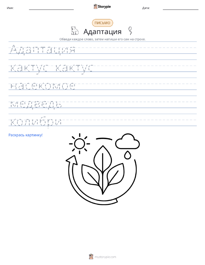 Практика письма