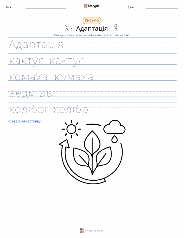 Практика письма