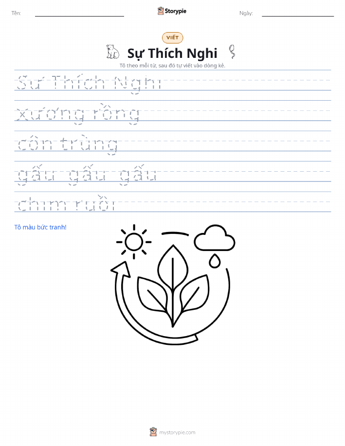 Luyện Viết