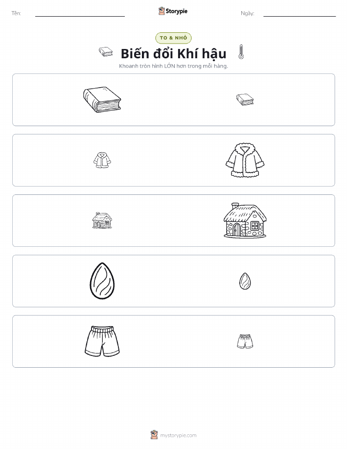 Phân Loại
