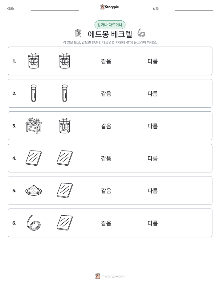 같은 것 또는 다른 것