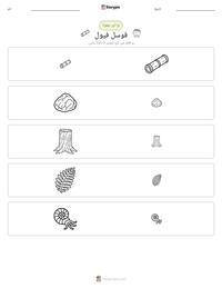 فوسل فیول پرنٹ کرنے کے قابل ورکشیٹ کا پیش نظارہ