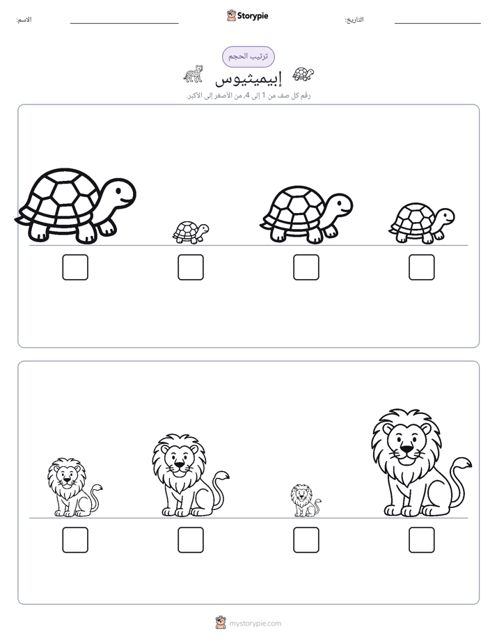 ترتيب الحجم