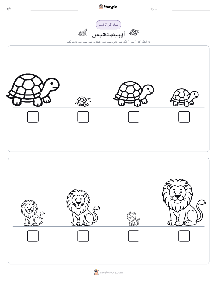 سائز کی ترتیب