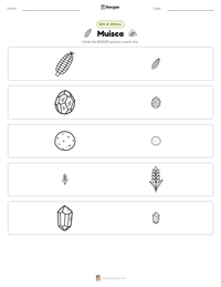 Muisca printable worksheet preview