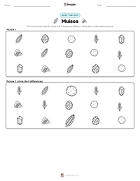 Muisca printable worksheet preview