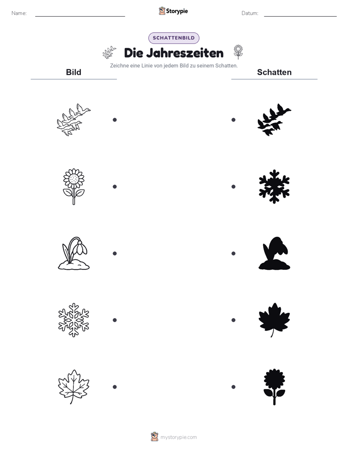Schattenmatch